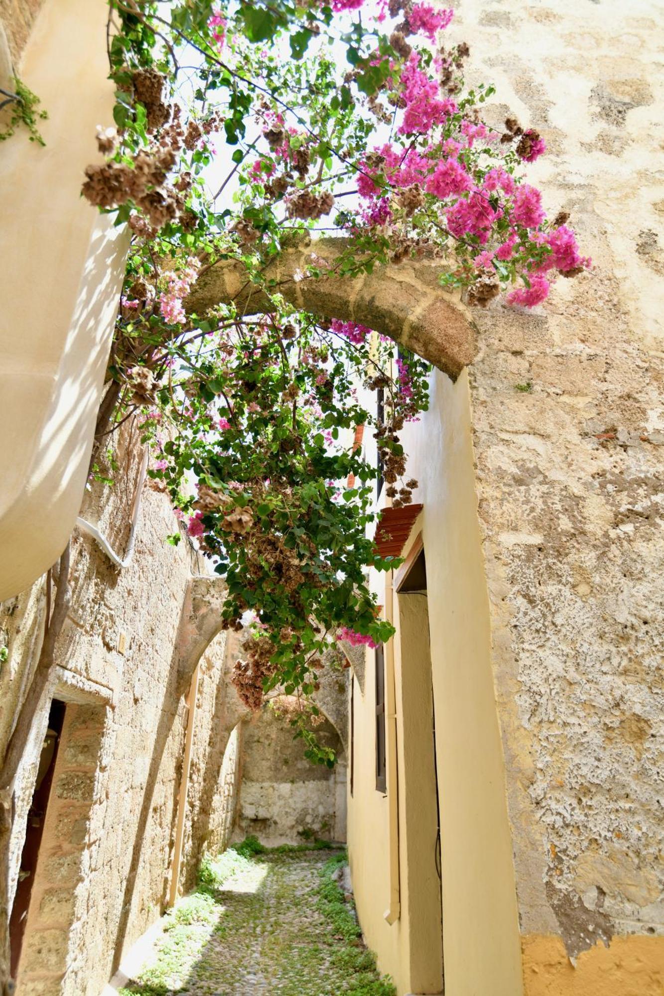 Appartamento Penelope Garden House Old Town Rhodes City Esterno foto
