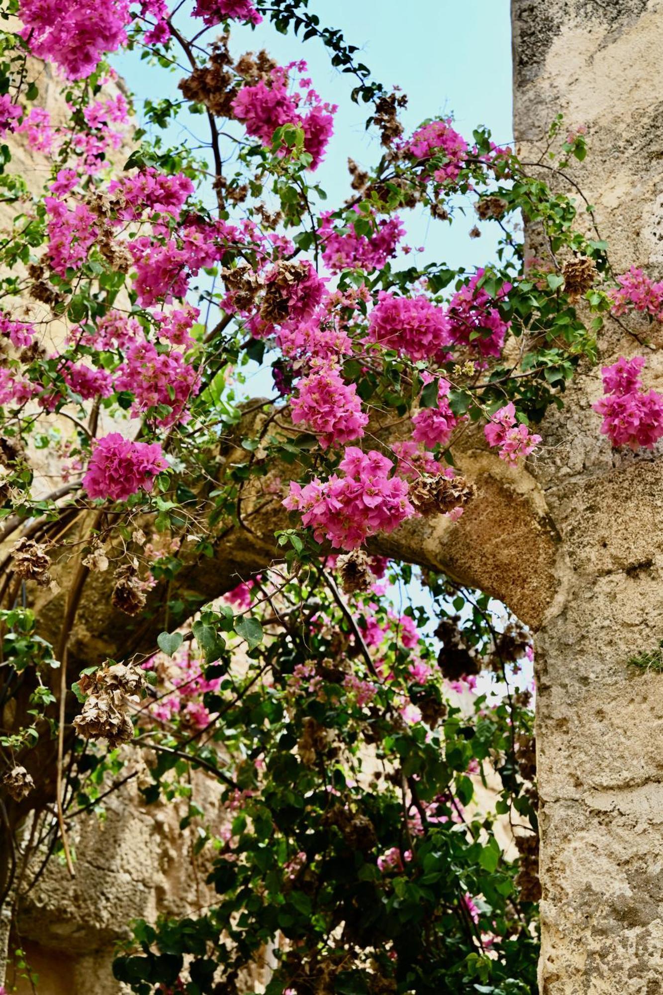 Appartamento Penelope Garden House Old Town Rhodes City Esterno foto