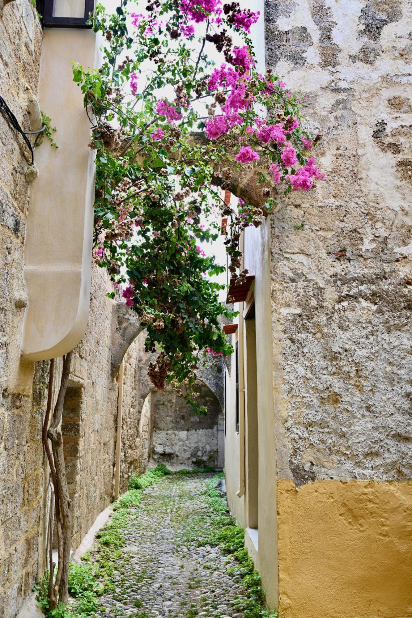 Appartamento Penelope Garden House Old Town Rhodes City Esterno foto